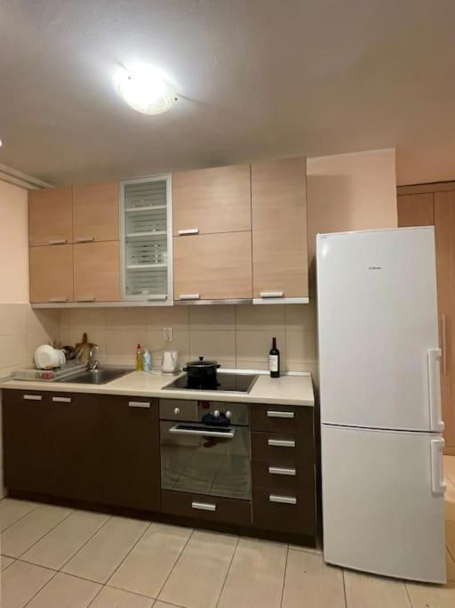Bg Sunflower Apartment เบลเกรด ภายนอก รูปภาพ